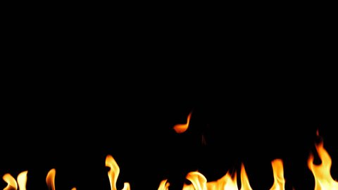 Clean Fire Flames Igniting And Burning - Slow Motion. A line of real flames ignite on a black background. Will look great in any fire or grill project. Real fire. Transparent background. PNG + Alpha 
