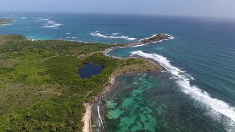 Aerial drone shot in sunny day time. High fly over palm trees mangrove forest and beautiful beach lagoon. Located in martinique. 