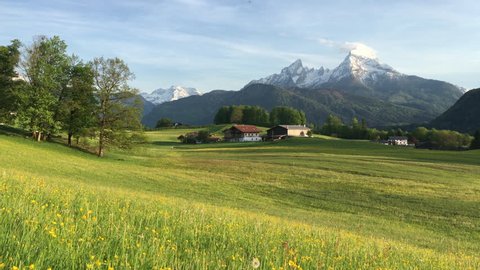 Panoramic view of idyllic mountain scenery with Watzmann mountain summit and blooming meadows in the Alps in springtime at sunset, Berchtesgadener Land, Bavaria, Germany