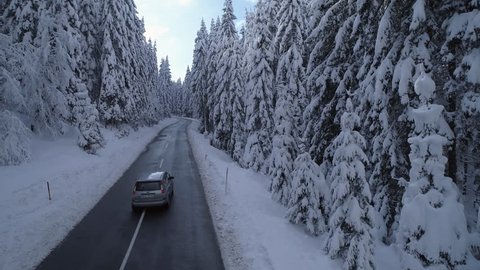 Aerial - Car driving through the forest with heavily snow-capped pine trees