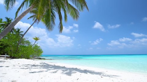Tropical beach with coconut palm trees, Maldives travel destination