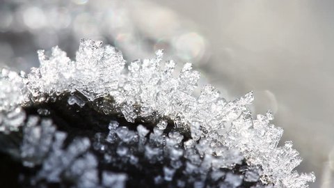 Macro time-lapse of melting hoarfrost particles. Majestic beauty of springtime transformation in wildlife nature. Melting Snow. Melting Ice. Melting Iceberg. Global Warming Effect.