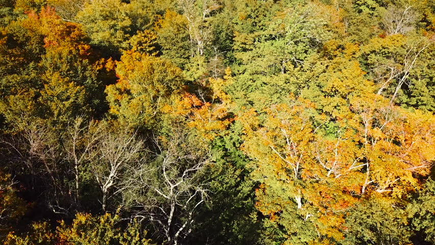 WHITE MOUNTAINS, NEW HAMPSHIRE - CIRCA 2010s - An aerial over New Hampshire forests and the White Mountains with Mt. Washington distant.
