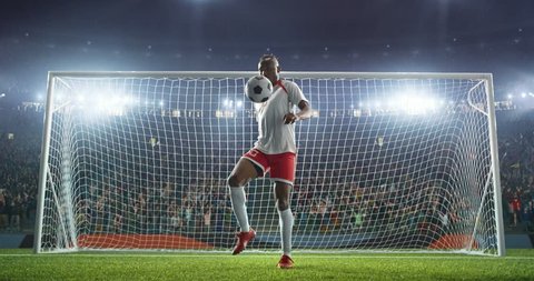 Soccer player show his skills on a professional soccer stadium. Stadium and crowd is made in 3D and animated 스톡 비디오