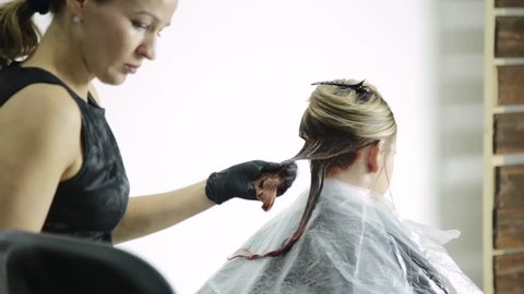 woman in a beauty salon gets hair coloring