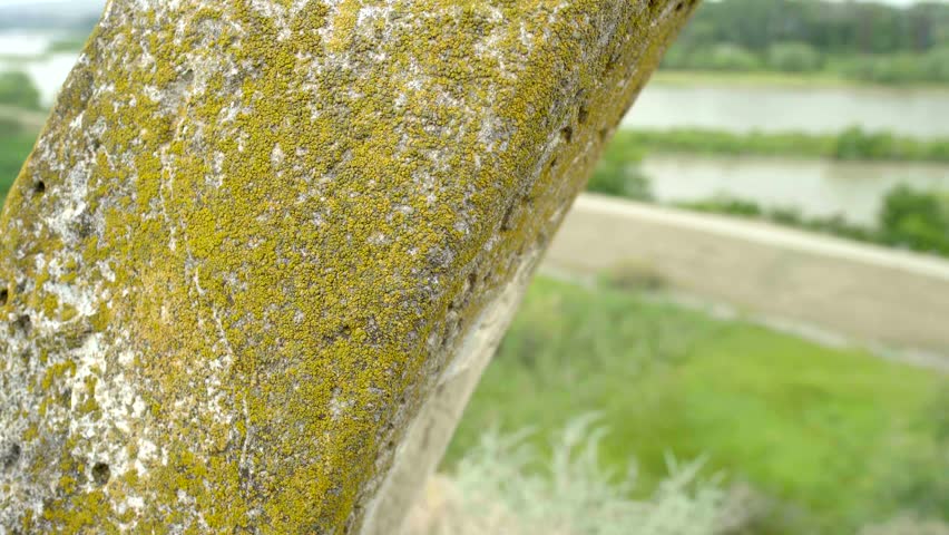 Historical cemetery near the river