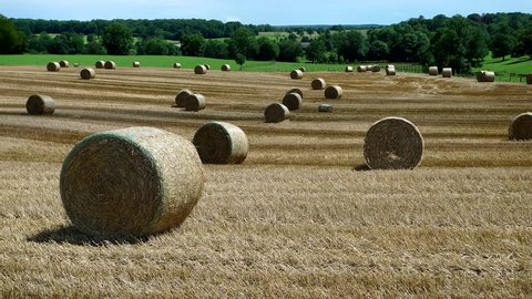 Cinemagraph – round bales of hay in the field in Burgundy