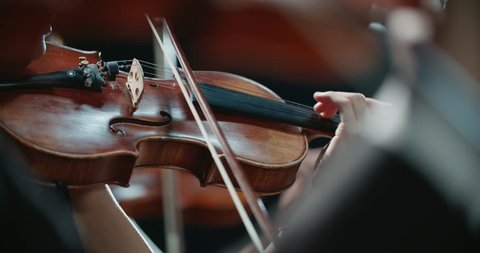 symphony orchestra performance, close-up of stringed instruments at work