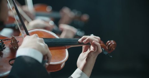 symphony orchestra performance, stringed instruments detail shot
