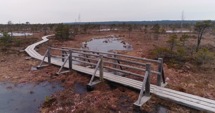 Trekking on boardwalk in big swamp wetlands