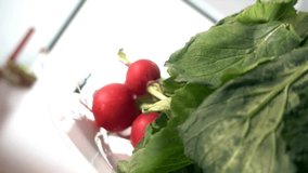 Fresh radishes rotating on a white plate against blurry background