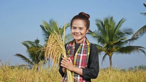 4k video of farmer woman smiling and looking holding rice in field, Thailand