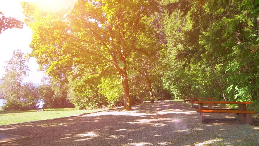 Beautiful Summer Light, Nature Green Park Lawn Grass and Picnic Benches Sunlight