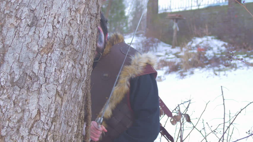 Viking soldier with a sword attacking