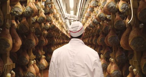 In a ham factory, a man in charge of quality control walks between the hams and controls, the perfume and the certified Italian quality. Concept of: tradition, Italy, food, ham