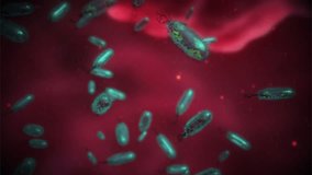 Bacteria Infection. 3d Animation of Group of Bacterias. Medical Video Background. The Microscopic, High-Tech, X-Ray, View of Bacteries.