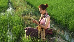 4k video of farmer woman sitting and using a smart phone in a rice field, Thailand