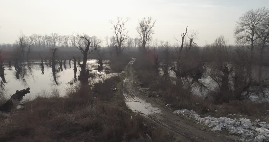 Drone HD footage of a swamp in winter. Sun reflects on water. Post apocalyptic sight.