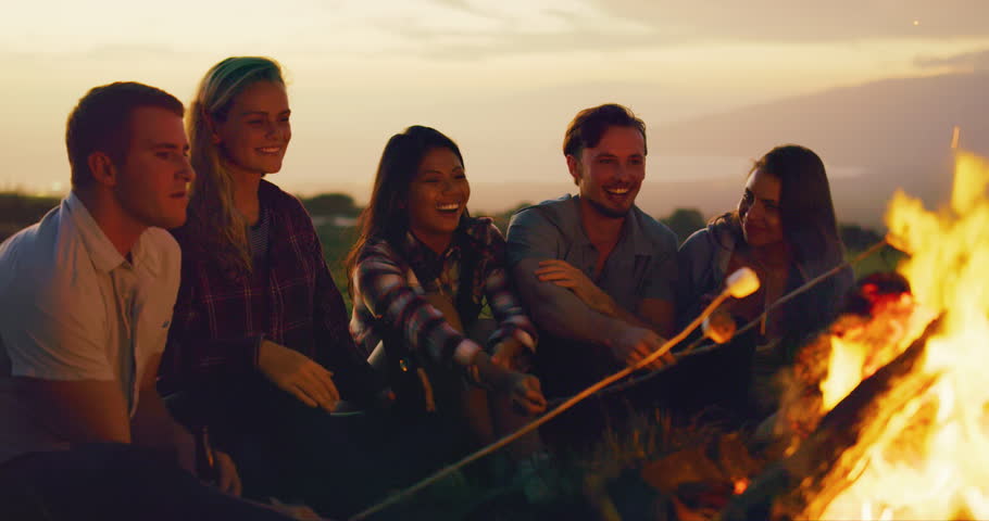 Shutterstock Video