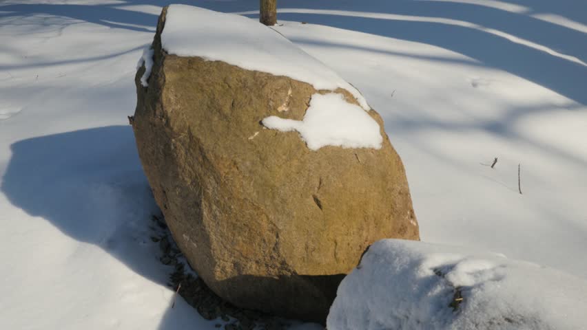 A rock in the forest in winter time covered in snow.

