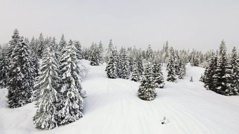 Spectacular drone footage over the high alpine mountains and winter forests of the Col de la Givrine (el. 1228 m.), a high mountain pass in the Jura Mountains, Switzerland.