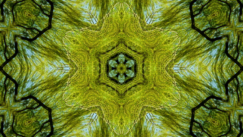 radial kaleidoscope lacy trees touch sky Stock Footage Video (100% ...