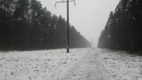 snowing in the forest near a electric line