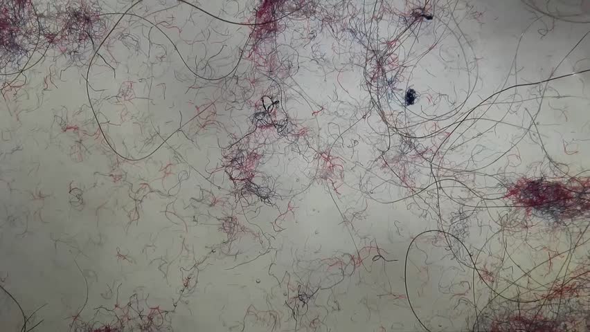 Synthetic Fibers Released from Fabrics Stock Footage Video (100% ...