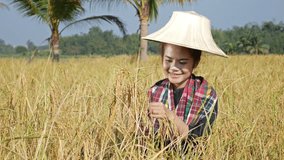 4k video of farmer woman smiling and looking holding rice in field, Thailand  