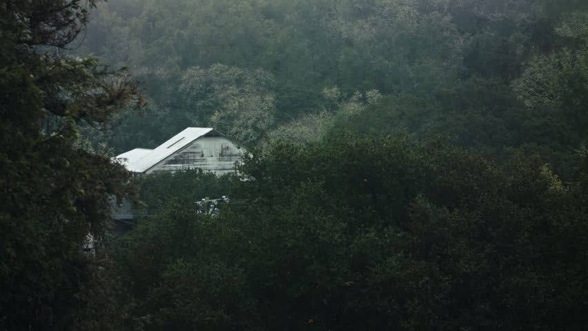 Wide shot of a barn in the distance obscured by trees on a rainy day.