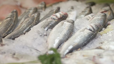 Camera pans along fish on ice in a fish mongers shop