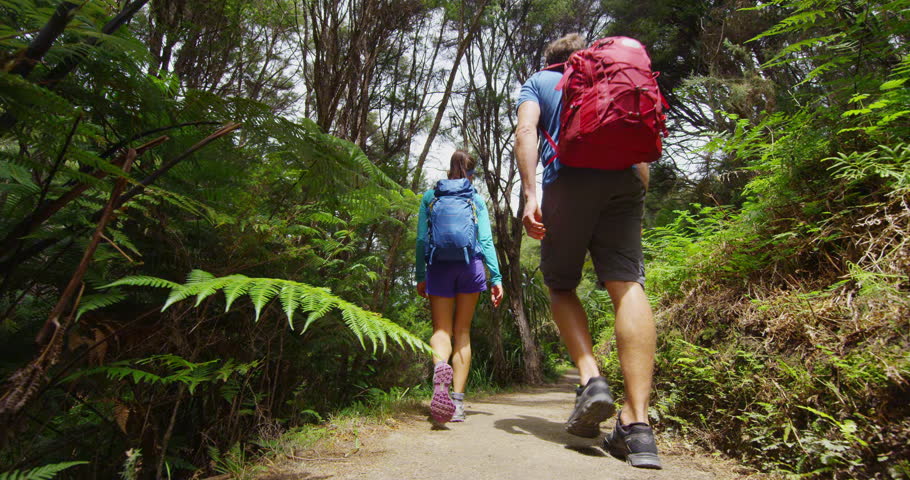 Hiking people tramping active lifetyle. New Zealand forest nature landscape with hiking couple tramping on travel vacation hike on Abel Tasman Coast Track, one of the Great Walks of New Zealand.