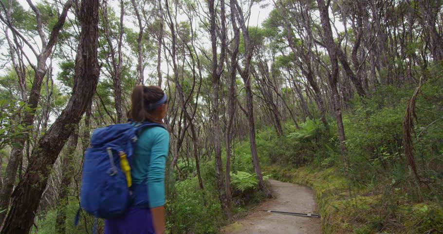 Hiking people tramping active lifetyle. New Zealand forest nature landscape with hiking couple tramping on travel vacation hike on Abel Tasman Coast Track, one of the Great Walks of New Zealand.