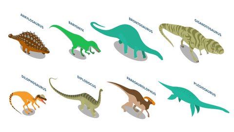 Newt Life Cycle Sequence Stages Development Stock Vector (Royalty Free ...