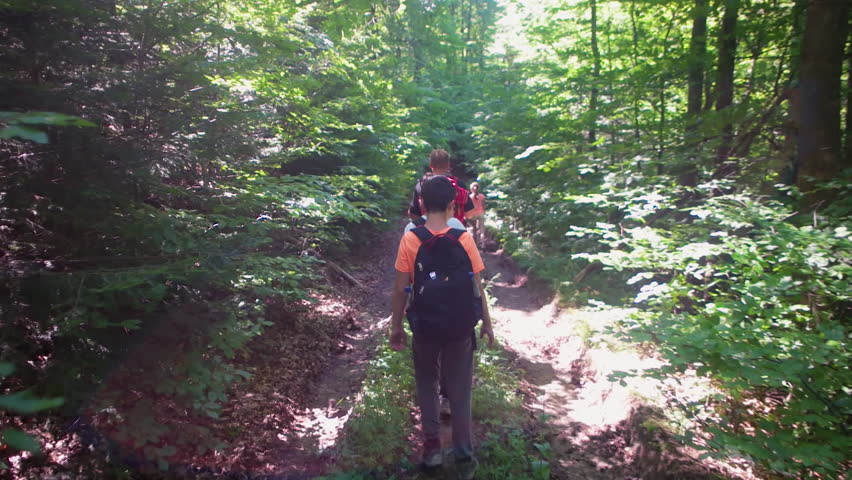 Following a group of kids walking in a forest, gimbal shot