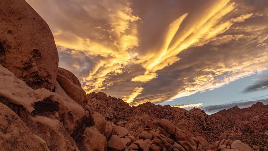 Sunset at Joshua Tree, California. 