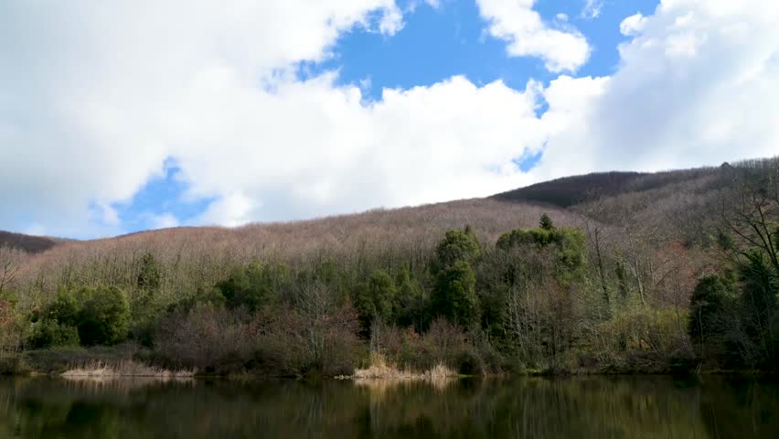 Small forest lake landscape, time lapse