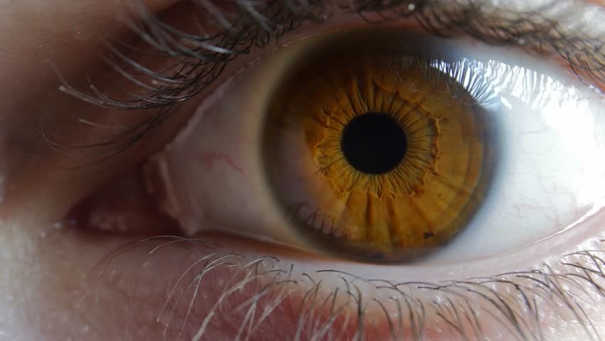 Male Brown Eye Close Up Extreme Macro Zoom In Iris 4K Real Time 