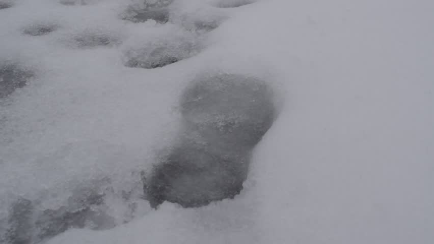 Boot footprint along a snow covered walkway. Taken Groundhog day February 2, 2018. 