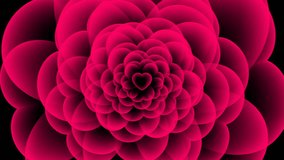 Heart flower X-ray symbol, love concept design illustration pink color animation 4K on black background  with copy space