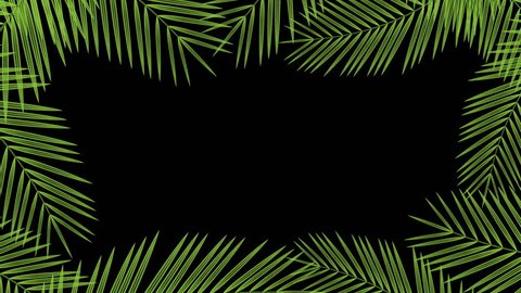 Coconut palm leaves transparent frame moving by the wind looping and copy space animation 4K on black background with alpha channel