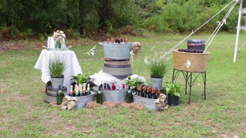 Rustic Display of Various Bottles of Wine