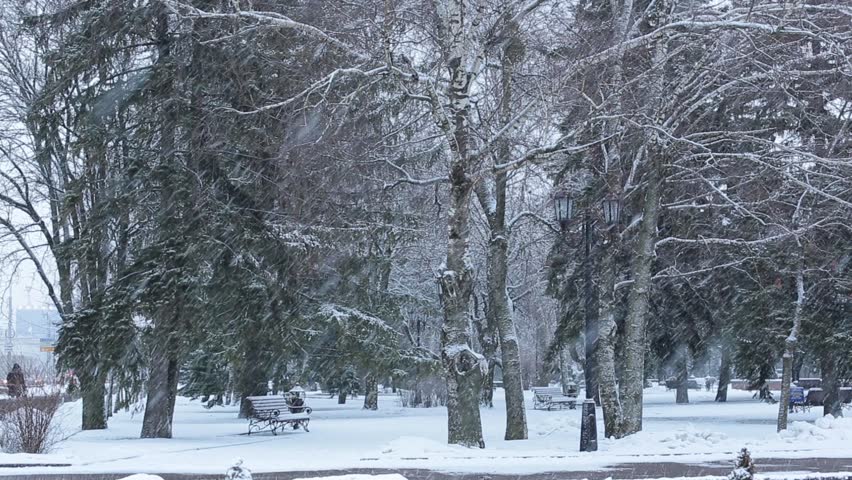 Beautiful winter landscape with snow covered trees