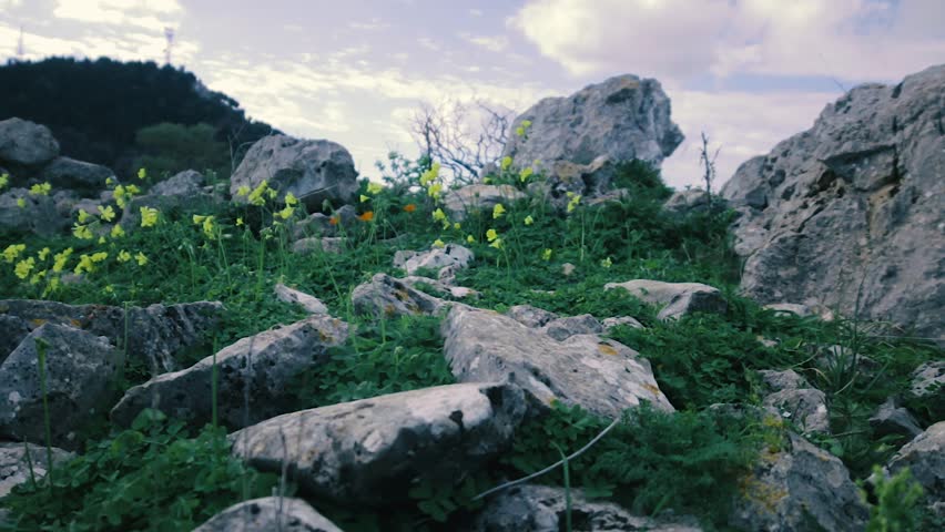 Mount Pellegrino is a hill facing east on the bay of Palermo, Sicily, southern Italy. Sea and mountains.