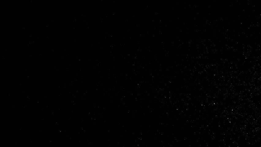 Natural Organic Dust Particles Floating On Black Background. Glittering Sparkling Particles Randomly Spin In The Air With Bokeh. White Dynamic Particles With Slow Motion. Particles Shimmering In Space | Shutterstock HD Video #1007091019