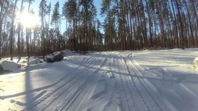 4K.Real movement of car in winter forest or  park, POV clip, FPV