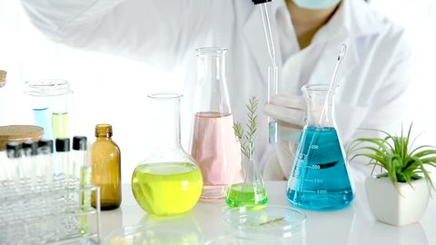 Beauty background, scientist is sampling a chemical extract from organic natural, research and develop background, Scientific concept is sample project about herbal medicine for health & beauty care.
