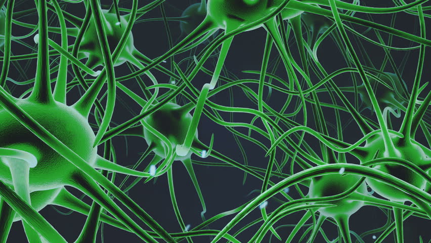 Neuron network. Neurons structure sending electric impulses and communicating each other. 3D animation. | Shutterstock HD Video #1007116216