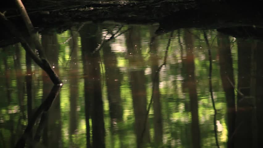A detailed close up of a pool
