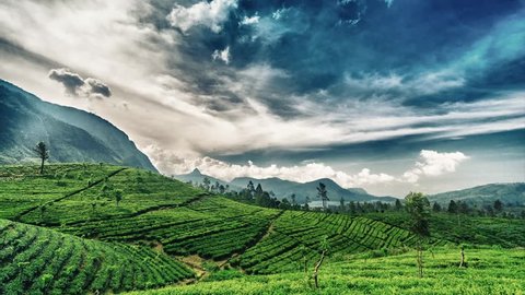 HDR timelapse of Maskeliya, Sri Lanka over tea estates